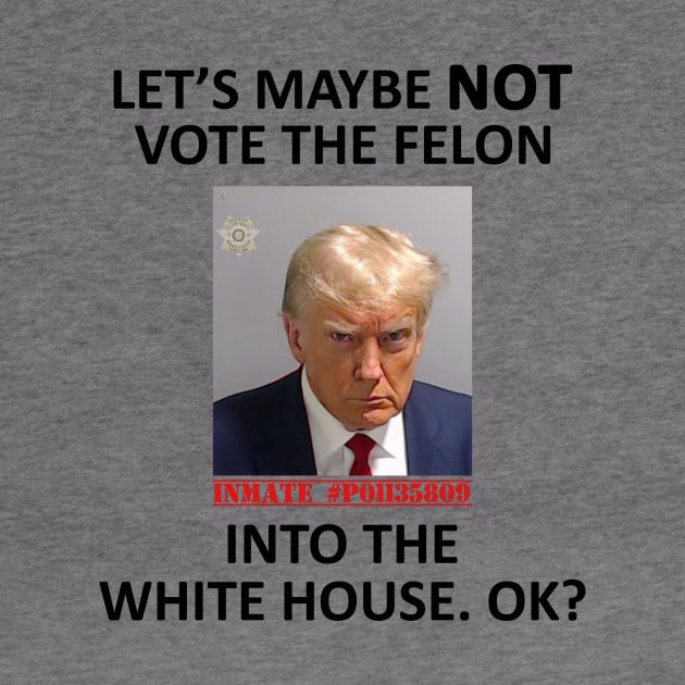 Let’s Maybe NOT Vote for the Felon Into The White House.  OK? by topher